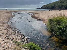Freshwater east - closest beach