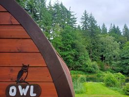 Owl theme