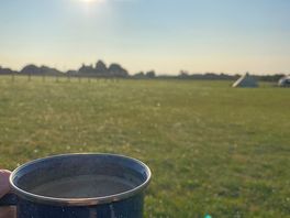 Morning at the campsite