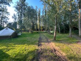 Campsite
