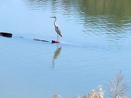 Fishing