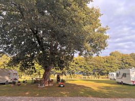 Early evening view of the caravan area