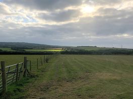 Views of site