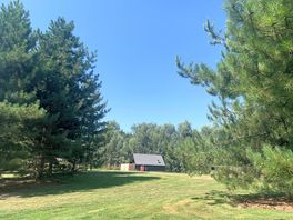Nicely landscaped for the lodges