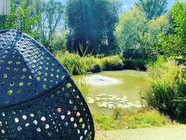 View from Stockies Bell Tent