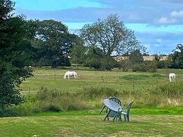 Horses in field