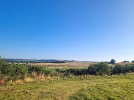 Morning view