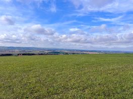 A wonderful view