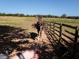 On the farm walk