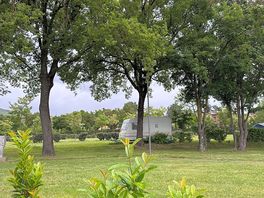 Serene campsite