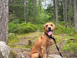 The coop enjoying his day out.