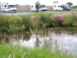 Spacious camping pitches