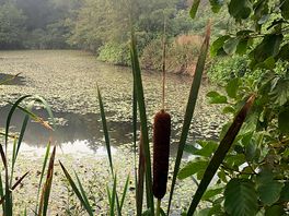 One of the lakes
