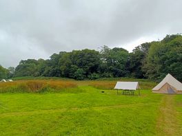 The site..