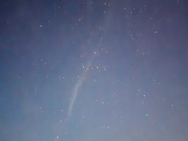 The stars