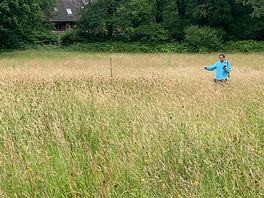 Adjoining meadow