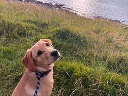 Amazing walks.
