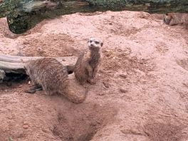Zoo