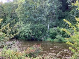 River exe
