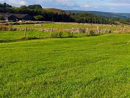 View from our pitch.