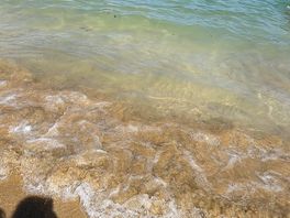 Harlyn bay