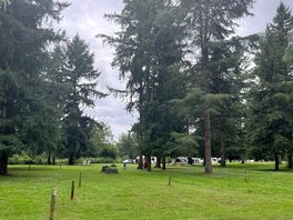 Campsite