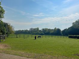 Local walk