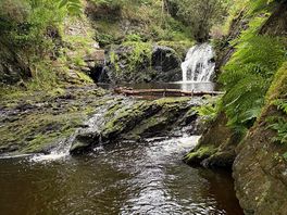 The onsite brook with plunge pool