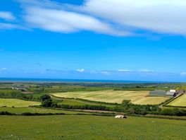 View from the site