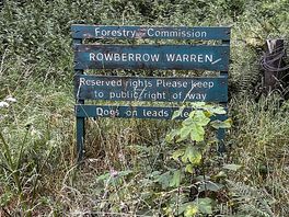 Local walk