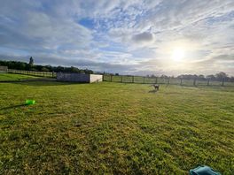 View from tent
