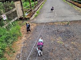 On the bridge