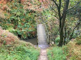The little bridge