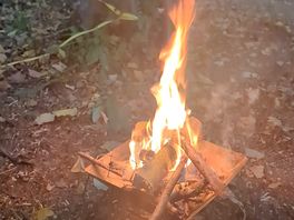 We used one of the fire pits. where a small charge is requested for a large bag of logs.