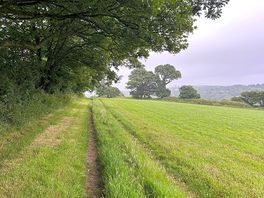 Beautiful walk
