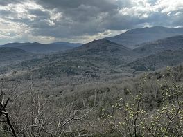 Ruta
