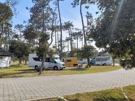 Campsites pitches