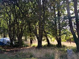 Wild camping