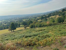 Lovely walk