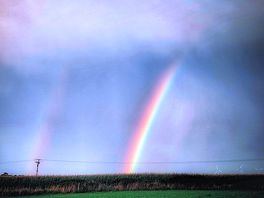 Beautiful rainbows seen from the field