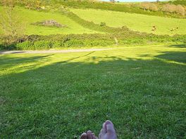Beautiful sunshine, relaxing watching the highland cows in the next field.