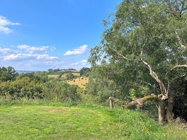 View from fire pit