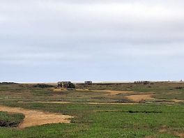 Walk over the salt marsh