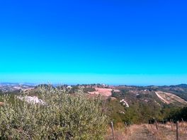 The views