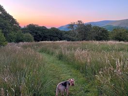 Walks from the campsite