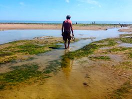Pett level beach