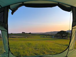 View from in tent