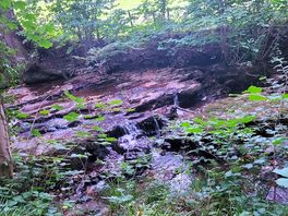 Stream