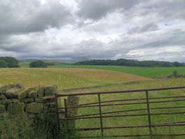 Walkers paradise