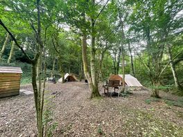 Camp view looking at the kitchen area and sleeping tent in the distance